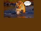 https://www.noelshack.com/2013-20-1368463412-tigre-du-bengal.png