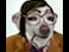 https://image.noelshack.com/fichiers/2013/20/1368464938-hisheek-gif.jpg
