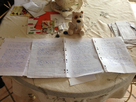 https://image.noelshack.com/fichiers/2013/20/1368537413-iphone-image-05-14-2013.jpg