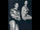https://image.noelshack.com/fichiers/2013/20/1368642629-sanstitrestevereeves3wk72.png