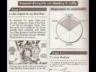 https://image.noelshack.com/fichiers/2013/20/1368654980-luffydiagramme.png