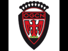 https://image.noelshack.com/fichiers/2013/20/1368711938-logo-ogc-nice2013.png