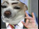 https://image.noelshack.com/fichiers/2013/20/1368719952-1368465042-easybeats.gif