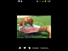 https://image.noelshack.com/fichiers/2013/20/1368748365-android-image-05-17-2013.jpg