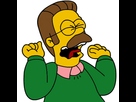 https://www.noelshack.com/2013-20-1368871780-mustache-0006-ned-flanders.jpg