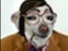 https://image.noelshack.com/fichiers/2013/20/1368874108-hisheek-gif.jpg