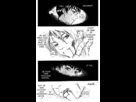 https://image.noelshack.com/fichiers/2013/20/1368920892-berserk-vol13chap02-fr-15-f-c.jpg