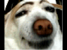 https://image.noelshack.com/fichiers/2013/21/1369058689-hish.gif