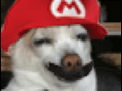https://image.noelshack.com/fichiers/2013/21/1369059055-mario.gif