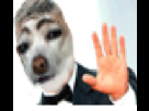 https://image.noelshack.com/fichiers/2013/21/1369066589-toutschuss.gif