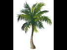 https://image.noelshack.com/fichiers/2013/21/1369239785-product-2758107hd.jpg