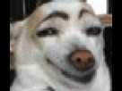 https://image.noelshack.com/fichiers/2013/21/1369415463-xenobrandt.gif