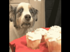 https://image.noelshack.com/fichiers/2013/21/1369593887-1233168038371.gif