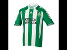 https://www.noelshack.com/2013-22-1369607157-maillot-asse-europe-1-440.jpg