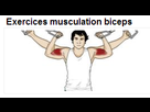 https://image.noelshack.com/fichiers/2013/22/1369691413-muscu.png