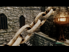 https://image.noelshack.com/fichiers/2013/22/1369697605-screenshot8.png