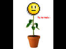 https://image.noelshack.com/fichiers/2013/22/1370092449-gsdfgfdgfhfghgfhghhghghg.png