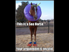 https://image.noelshack.com/fichiers/2013/22/1370095319-sea-horse-r.jpg