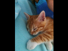 https://image.noelshack.com/fichiers/2013/22/1370109931-iphone-image-06-01-2013.jpg