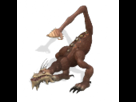 https://image.noelshack.com/fichiers/2013/22/1370199137-gipedon-3.png