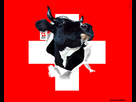 https://www.noelshack.com/2013-23-1370281750-fond-ecran-drapeau-suisse.jpg