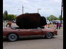 https://image.noelshack.com/fichiers/2013/23/1370381525-000.jpg