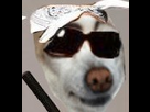 https://image.noelshack.com/fichiers/2013/23/1370429915-2022954385-1.jpg