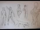 https://image.noelshack.com/fichiers/2013/23/1370439279-croquis-anatomie.png
