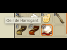 https://image.noelshack.com/fichiers/2013/23/1370468920-oeilharrogant.png