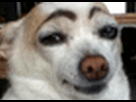 https://image.noelshack.com/fichiers/2013/23/1370504652-hish.gif
