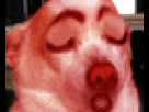 https://image.noelshack.com/fichiers/2013/23/1370710973-thatslexi.gif