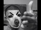 https://image.noelshack.com/fichiers/2013/23/1370711327-large-la-haine-blu-ray-1.jpg