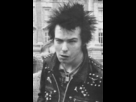 https://www.noelshack.com/2013-23-1370727459-sid-vicious-sid-vicious-31661765-489-720.jpg