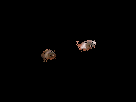https://image.noelshack.com/fichiers/2013/23/1370815057-image5-50285-w525.gif