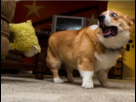 https://image.noelshack.com/fichiers/2013/24/1370852695-mouton-2.png