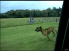 https://image.noelshack.com/fichiers/2013/24/1370855674-7tmscjo.gif