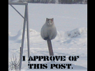 https://image.noelshack.com/fichiers/2013/24/1370891569-1328549782670.png