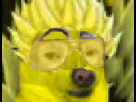 https://image.noelshack.com/fichiers/2013/24/1370932756-1365758225-lordjidane.gif