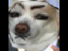 https://image.noelshack.com/fichiers/2013/24/1370935810-1368465042-easybeats.gif