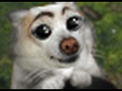 https://image.noelshack.com/fichiers/2013/24/1371019822-poupou49-gif.jpg