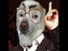 https://image.noelshack.com/fichiers/2013/24/1371040782-1366047559-morandinhish.jpeg