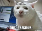 https://image.noelshack.com/fichiers/2013/24/1371067370-iphone-image-06-12-2013.jpg