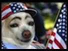 https://image.noelshack.com/fichiers/2013/24/1371134353-zoophilhish-gif.jpg