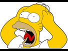 https://image.noelshack.com/fichiers/2013/24/1371254301-homer0010.jpg