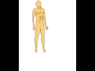 https://image.noelshack.com/fichiers/2013/25/1371505670-test-colo.png