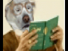 https://image.noelshack.com/fichiers/2013/25/1371673957-vono09.gif