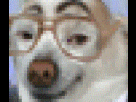 https://image.noelshack.com/fichiers/2013/25/1371716867-1365879616-easybeats.gif