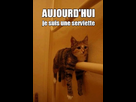 https://image.noelshack.com/fichiers/2013/25/1371746004-je-suis-une-serviette.jpg
