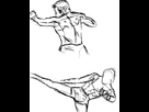 https://image.noelshack.com/fichiers/2013/25/1371751980-ufc.png