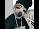 https://image.noelshack.com/fichiers/2013/25/1371752025-hisheek-gif.jpg